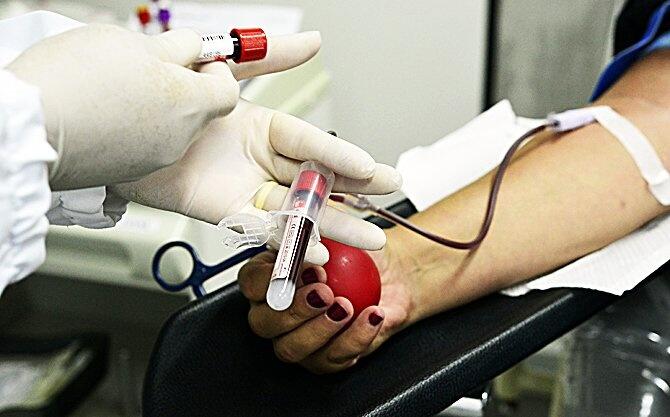 É necessário ter mais de 50 quilos, estar alimentado e em boas condições de saúde, além de apresentar um documento original com foto (Foto: Divulgação)