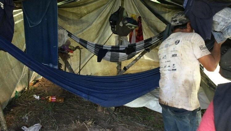 Do número total de 91 trabalhadores resgatados em Roraima, 19 deles eram venezuelanos (Foto: Divulgação / MT)