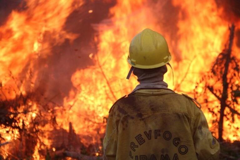  Todos os anos, Roraima sofre com o verão bastante quente e com incêndios florestais (Foto: DIvulgação)