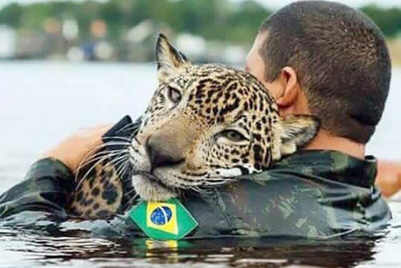 conteudo de folhabv.com.br