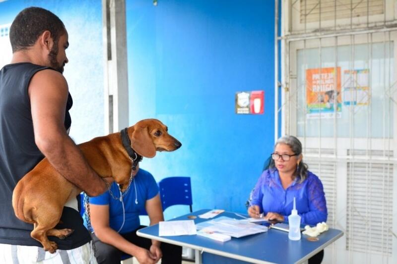 No ano passado, devido à pandemia, a prefeitura vacinou 23.956 animais, sendo 19.672 cães e 4.284 gatos (Foto: Divulgação)
