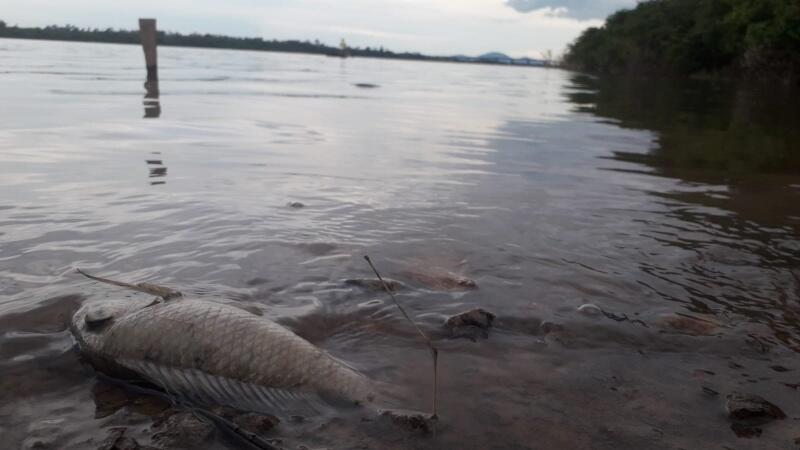 O Igarapé Caxangá é afluente do Rio Branco (Foto: Nilzete Franco/FolhaBV)