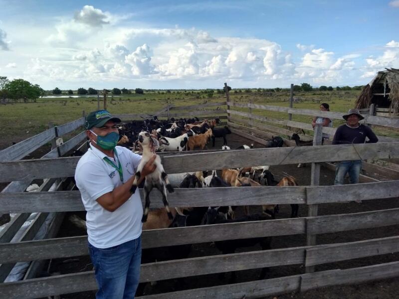 Técnicos da Agência de Defesa estiveram em Bonfim levando a programação sobre os pequenos ruminantes (ovelhas e cabras) (Foto: Divulgação)