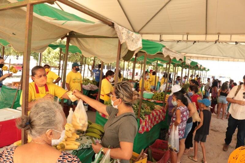 Mostra foi realizada na feira agroecológica do bairro Caranã (Foto: Nilete Franco/FolhaBV)