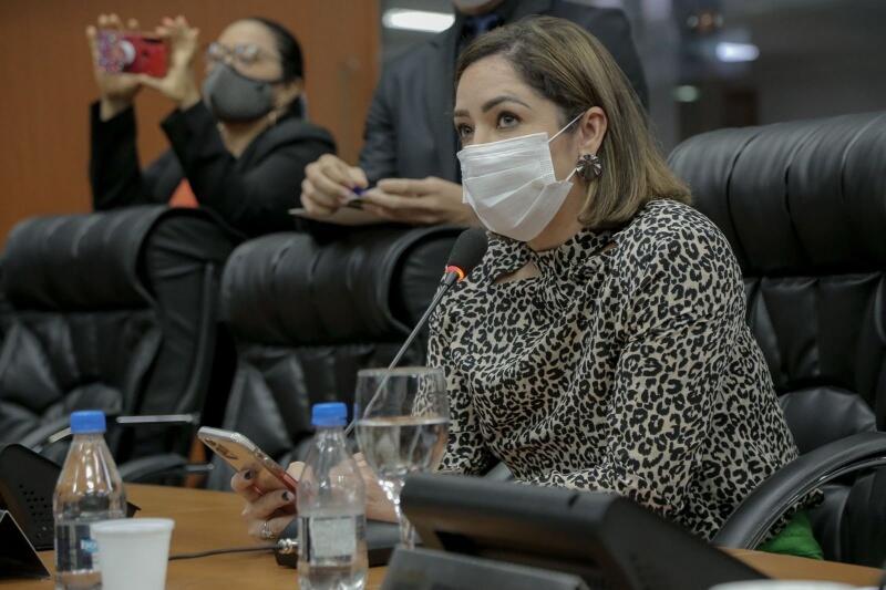 A medida, segundo a parlamentar, tem o objetivo de proteger a mulher e retirá-la do ciclo de violência (Foto: Divulgação)