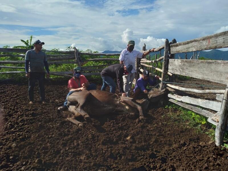 Serão 45 dias de trabalho nas terras indígenas Raposa Serra do Sol e São Marcos (Foto: Divulgação) Serão 45 dias de trabalho nas terras indígenas Raposa Serra do Sol e São Marcos (Foto: Divulgação)