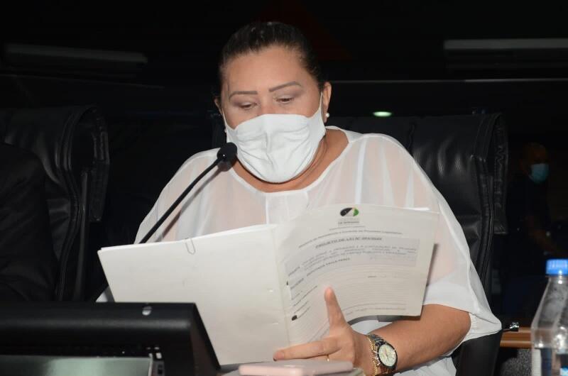 Projeto de lei foi protocolado e lido na sessão da quarta-feira, dia 10 (Foto; Ascom Parlamentar)