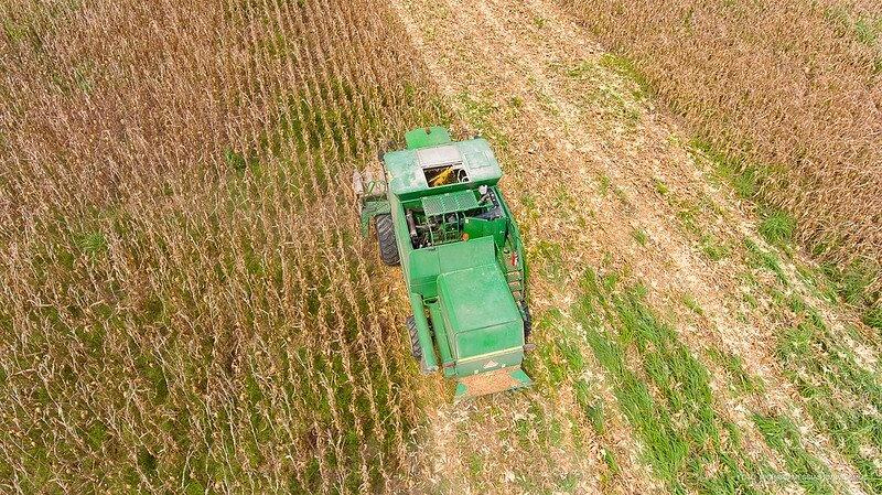 Hoje são mais de 500 famílias beneficiadas pelo PMDA, com aumento de área plantada e mais produtividade a cada ano (Foto: Semuc/BV)