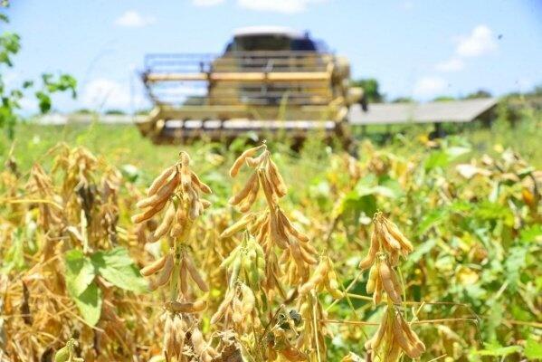 Roraima representa 0,2% da economia nacional, percentual que se mantém inalterado desde o início da série, em 2002 (Foto: Divulgação)