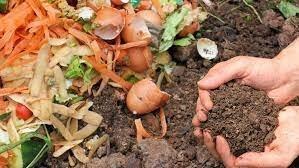 A compostagem é um processo natural de decomposição da matéria orgânica de origem animal ou vegetal. (Foto: Divulgação)
