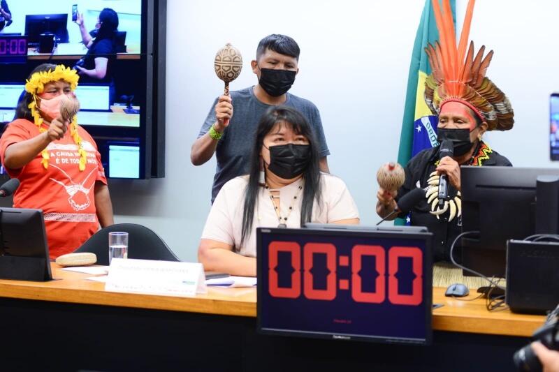 A proposta é de autoria da deputada federal Joenia Wapichana (Foto: Divulgação)