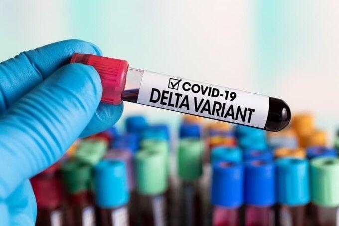 Variante Delta é uma das três cepas já identificadas em Roraima (Foto: Divulgação/Pinterest)