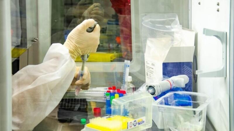 A BA.1 é responsável pela maior parte de contaminações com a variante ômicron, mas a BA.2 tem se espalhado rapidamente pelo mundo (Foto: Divulgação)