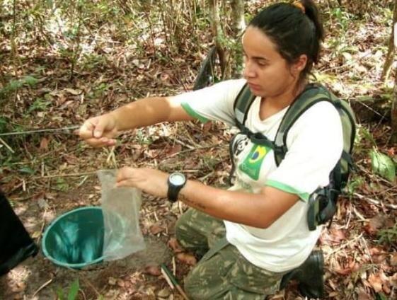 O Estado conta com legislação específica e exclusiva aos animais domésticos e silvestres, e estabelece normas para a proteção, defesa e preservação (Foto: Divulgação)