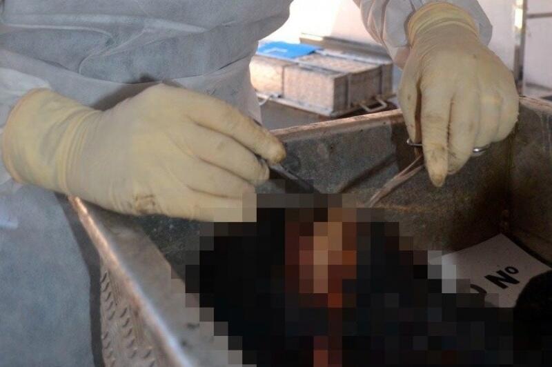 A identificação foi realizada por peritos do Instituto de Medicina Legal que atuam no Laboratório de Antropologia Forense, Odontologia Legal e Anatomia (Foto: Divulgação)