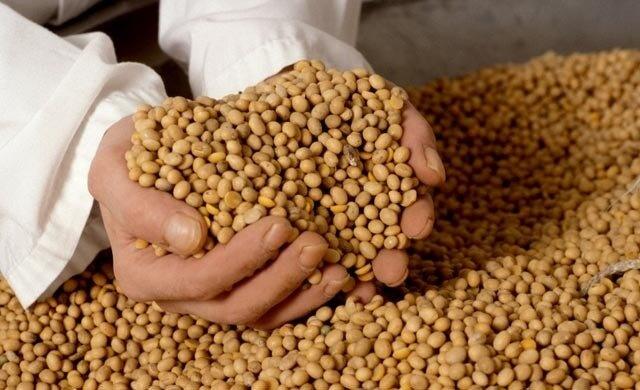 Palestra “Agro: o que muitos vivem e poucos conhecem”, será apresentada no dia 29 de março no Teatro Municipal de Boa Vista (Foto: Arquivo FolhaBV)