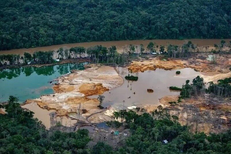 A denúncia havia sido feita pela Hutukara Associação Yanomami (Foto: Divulgação)