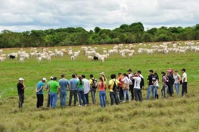 Os cursos destinam-se à formação de professores da educação básica de Roraima (Foto: Divulgação)