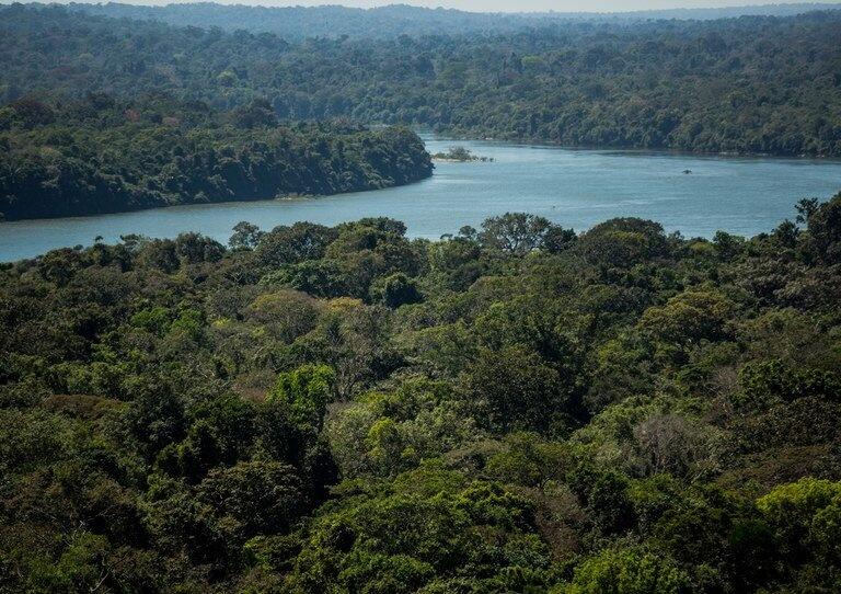 O Projeto apoia quem protege e recupera a floresta e contribui para a redução de emissões de gases de efeito estufa.