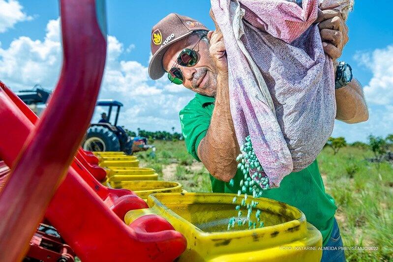 Comunidade Mauixi iniciou o plantio cuja colheita irá beneficiar 46 famílias que moram no local (Foto: Divulgação)