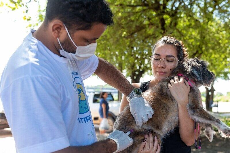 A vacina antirrábica é ainda a única forma de prevenir a enfermidade e manter os pets saudáveis (Foto: Andrezza Mariot/Prefeitura de Boa Vista)