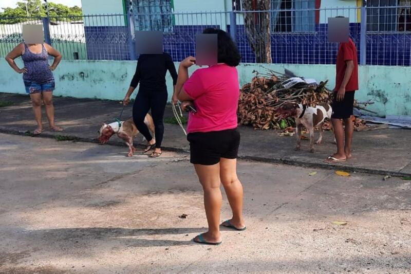 Donos dos animais foram até o local (Foto: Arquivo pessoal)