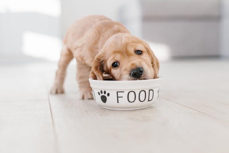 Créditos: iStock