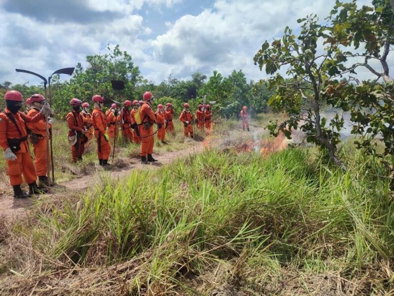 De janeiro a setembro de 2022, o Corpo de Bombeiros Militar e a Defesa Civil registraram o atendimento de 389 ocorrências envolvendo incêndios em vegetação no Estado (Foto: Corpo de Bombeiros)