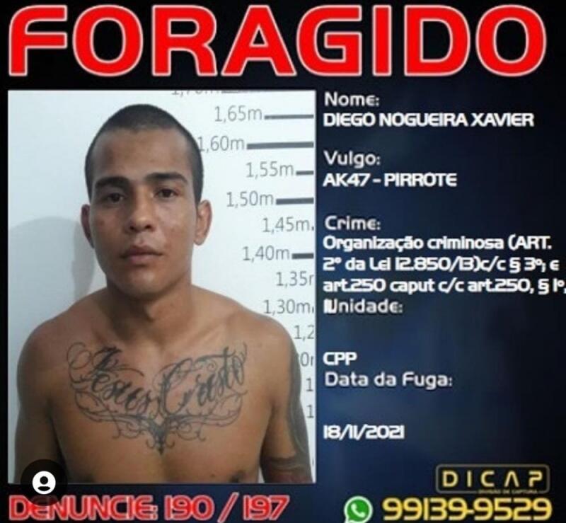 A população poderá auxiliar denunciando através do telefone 99139-9529 (WhatsApp) (Foto: Dicap)