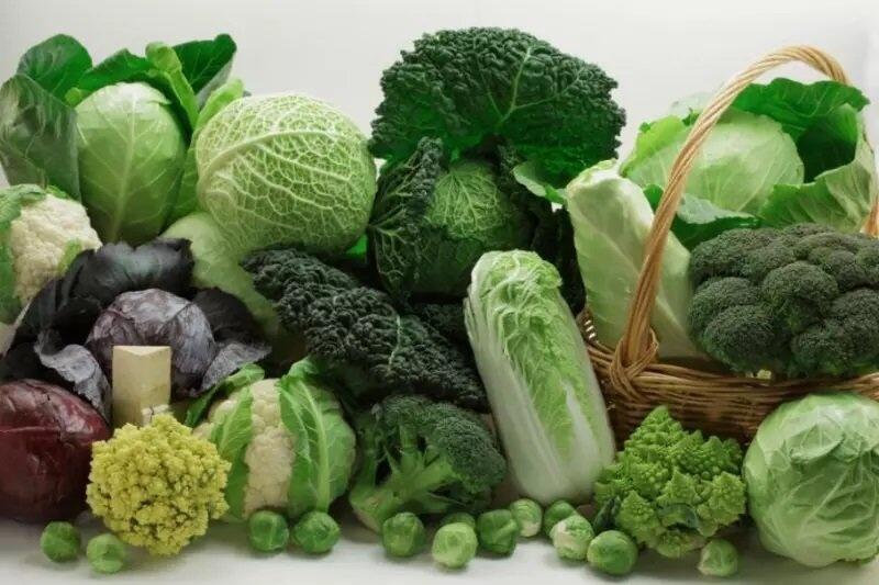 A folhas também podem ser grande aliadas no combate à anemia. Alguns vegetais possuem grandes quantidades de ferro