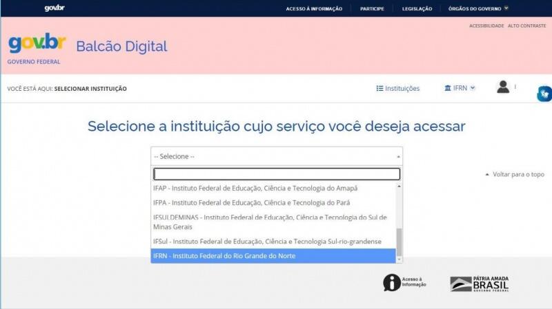 Para facilitar o procedimento, foi disponibilizado um tutorial indicando o passo a passo para a obtenção do documento (Foto: Reprodução)