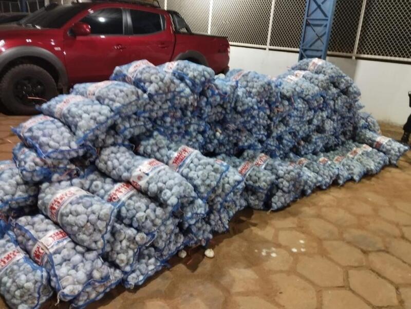 Carga foi levada à sede da Polícia Federal em Roraima - Foto: Divulgação/PMRR