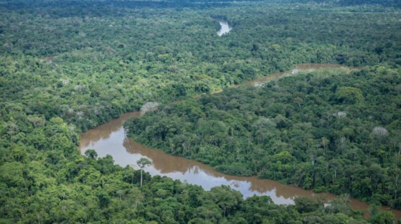 Vista aérea da Terra Indígena Pirititi, no Sul de Roraima (Foto: Felipe Werneck/Ascom/Ibama)