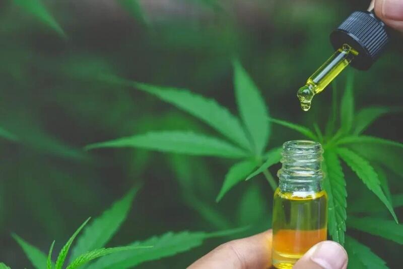 Os convidados pontuaram os benefícios terapêuticos do medicamento - Foto: Tinnakorn Jorruang / EyeEm/Getty Images