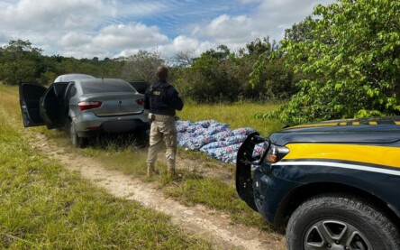 Carga foi apreendida pela Polícia Rodoviária Federal (Foto: Divulgação/PRF)