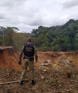O ocorrido perdurou por 33 dias, até a data de pesquisa final em 08 de junho. (Foto: reprodução/PF)