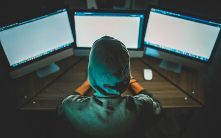 Especialistas afirmam, que não há nada pior para um criminoso virtual, do que ser impedido de usar a internet