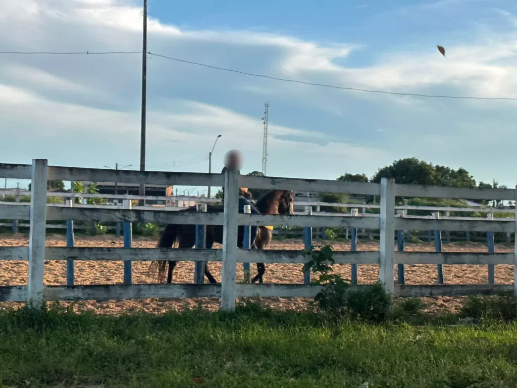 Problemas do clube saíram na Coluna Parabólica e em matéria da FolhaBV. (Foto: arquivo/FolhaBV)