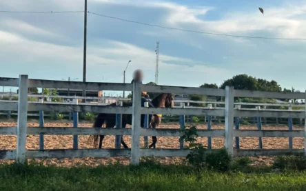 Problemas do clube saíram na Coluna Parabólica e em matéria da FolhaBV. (Foto: arquivo/FolhaBV)