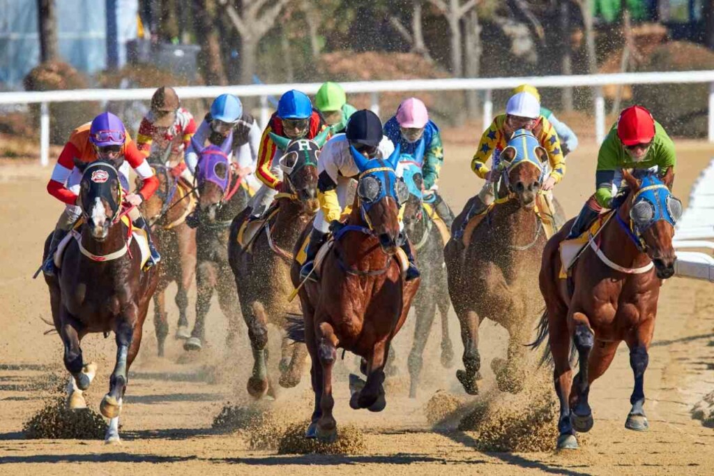 O evento terá corrida de cavalos O evento terá corrida de cavalos