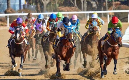 O evento terá corrida de cavalos