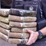 Este ano, foram apreeendidos 430 kg de drogas (Foto: Divulgação)