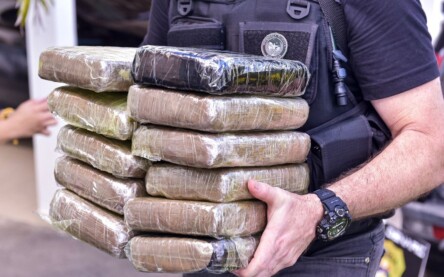 Este ano, foram apreeendidos 430 kg de drogas (Foto: Divulgação)