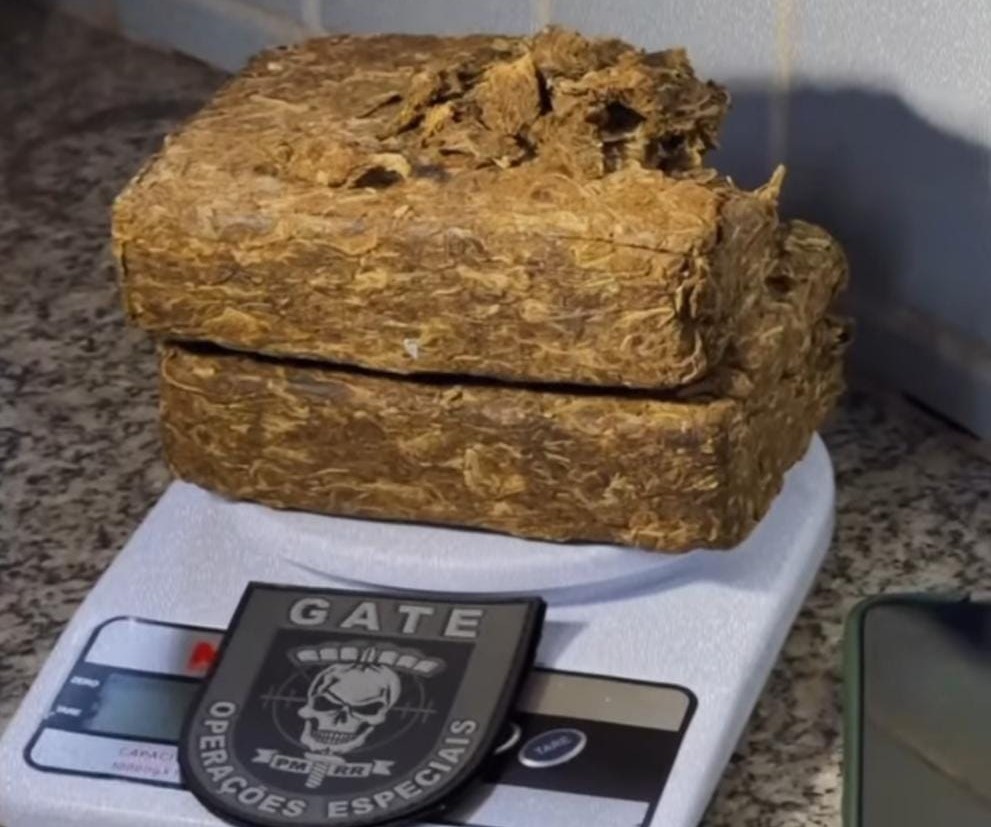 Droga apreendida foi levada à delegacia (Foto: Divulgação)