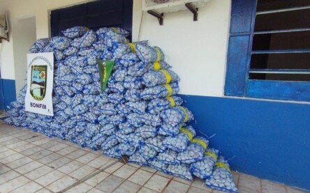 Alho apreendido e entregue na Delegacia de Bonfim (Foto: Divulgação)