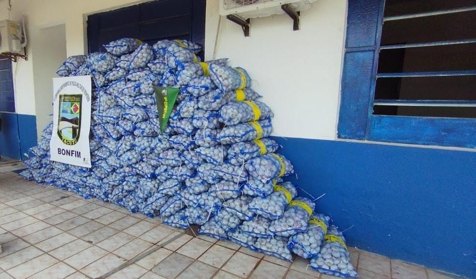 Alho apreendido e entregue na Delegacia de Bonfim (Foto: Divulgação)