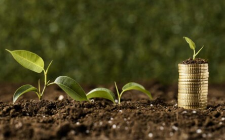 Os participantes poderão compartilhar conhecimentos e experiências, além de trabalhar juntos para impulsionar a transição de uma economia mais sustentável. Foto: Internet