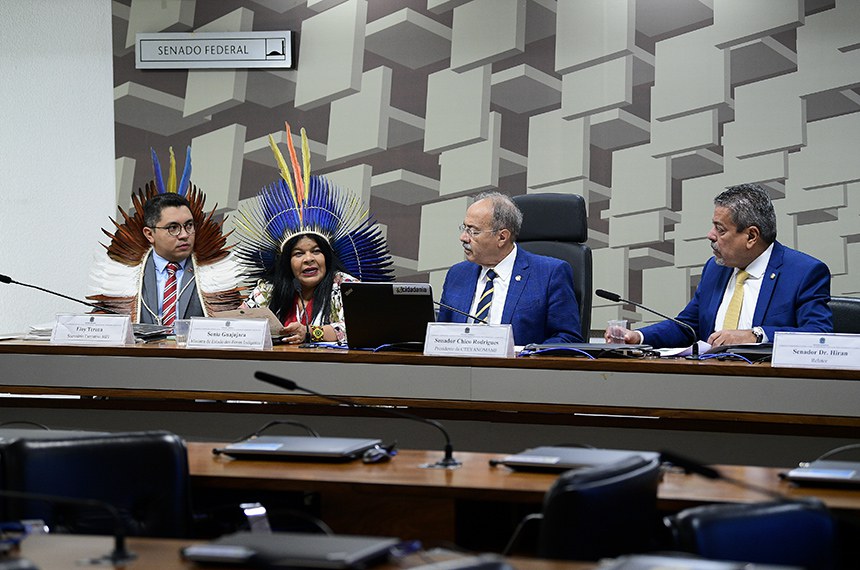 Senadores Chico Rodrigues (2º à dir.) e Dr. Hiran (à dir.) ouvem a ministra Sonia Guajajara em reunião do colegiado Fonte: Agência Senado (Foto: Pedro França/Agência Senado)