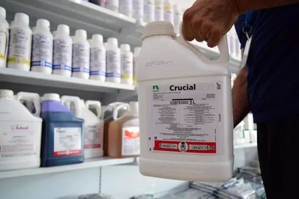 Estado ficou em terceiro na região Norte (Foto: Arquivo Folha BV)