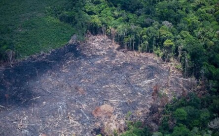O desmatamento na floresta amazônica caiu 60% em janeiro deste ano (Foto: Daniel Beltra/Greenpeace)